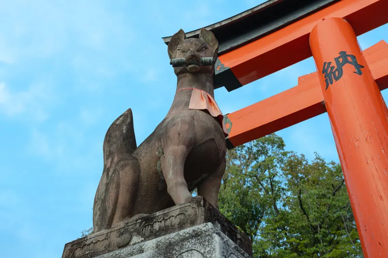 7C200641 Enhanced NR